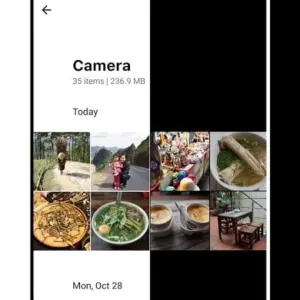 1Gallery mod apk free