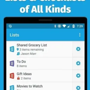 Alt text: Giao diện chính của ứng dụng AnyList với danh sách mua sắm được sắp xếp gọn gàng.