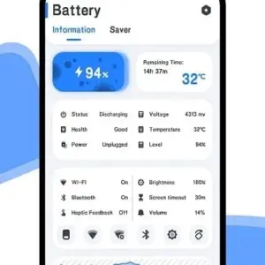 Battery manager and monitor mod