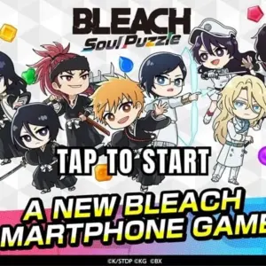 BLEACH Soul Puzzle