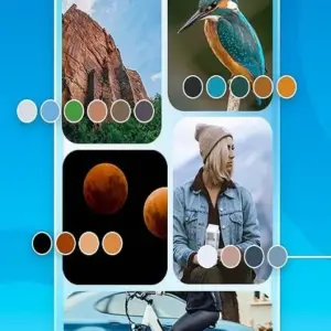 Color Detector Catcher mod apk free