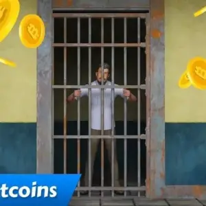 Crypto BTC Fighting Club android