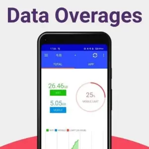 Data Usage Monitor mod