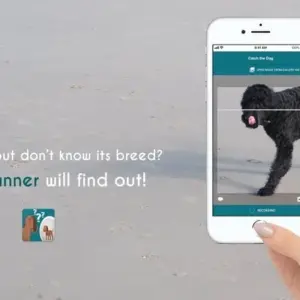 Alt text: Giao diện ứng dụng Dog Scanner đang quét một chú chó