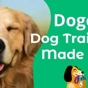 Dogo