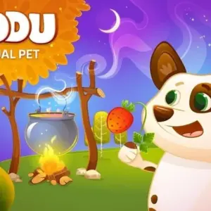 Duddu