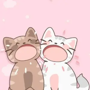 Duet Cats
