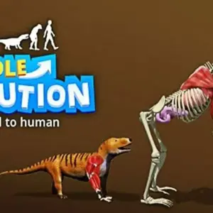 Mô tả quá trình tiến hóa trong Idle Evolution