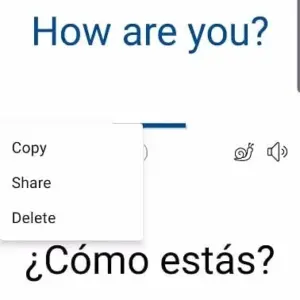 Instant Voice Translate apk