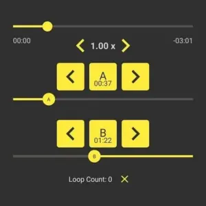Mô tả ảnh: Giao diện chính của ứng dụng Loop Player với các nút điều khiển và hiển thị bài hát.