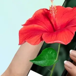 PictureThis mod
