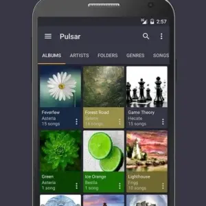 Pulsar Music Player Pro mod