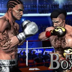 Punch Boxing 3D