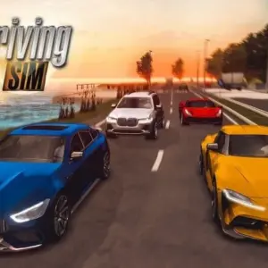 Real Driving Sim