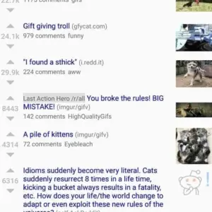 rif is fun golden platinum for Reddit mod