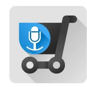 Shopping list voice input