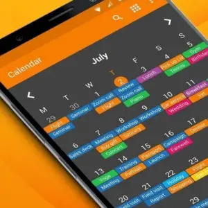 Simple Calendar Pro mod