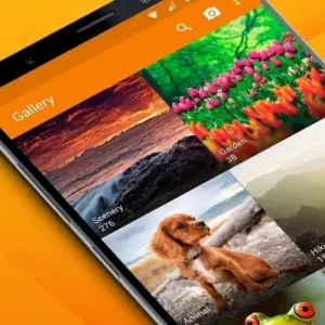 Simple Gallery Pro mod