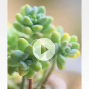 Timestamp Photo and Video mod