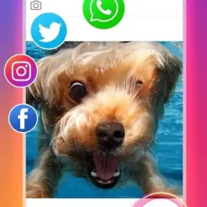 Video Downloader for Instagram mod apk