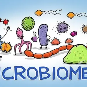 Mô tả hình ảnh về giao diện game World of Microbes